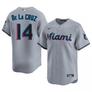Bryan De La Cruz #14 MIA Baseball Jersey | Premium Men Gray Stitch Edition 31746309