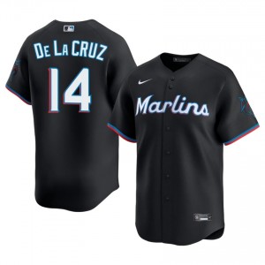 Bryan De La Cruz #14 Miami Baseball Jersey | Professional Men Black Embroidery Edition 28991094