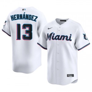 #13 Heriberto Hernandez MLB Men Baseball Jersey | Miami Marlins White Fan Gear 62763828