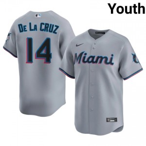 Bryan De La Cruz #14 Marlins Baseball Jersey | Game Youth Gray Embroidery Edition 61219496