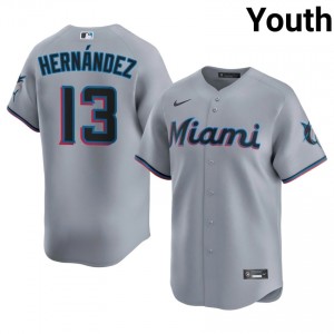 Gray Heriberto Hernandez #13 Marlins Baseball Stitched Jersey | Iconic Youth Fit 73788971