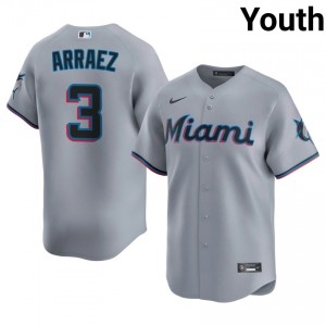 Gray Luis Arraez #3 Miami Baseball Embroidery Jersey | Professional Youth Fit 83072460